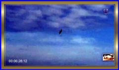 2025-10-17 at 8.53.19 AM.jpeg